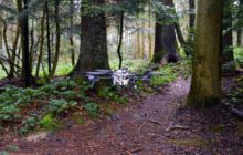 Trail-marking Drone Software Could Find Lost Hikers