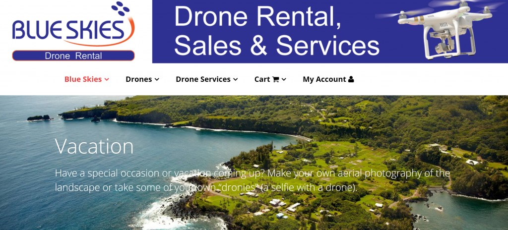 Drone rental deals cost