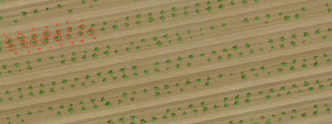 droneDeploy