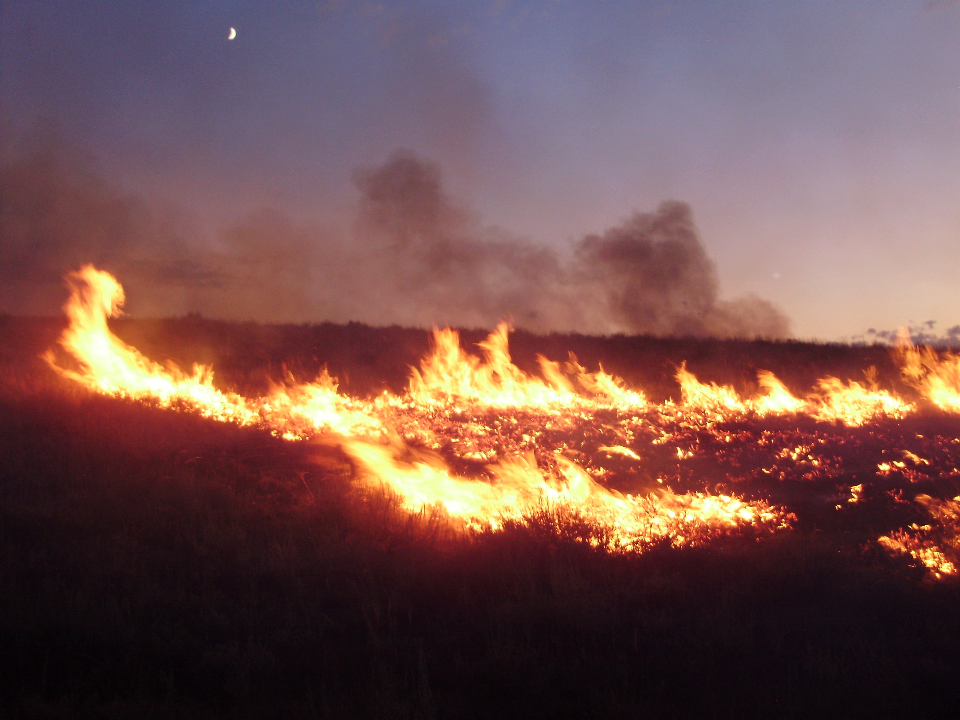 CA wildfires