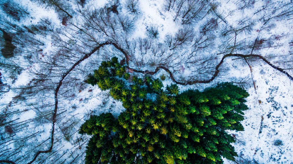 nature aerial photography