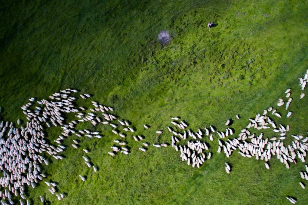 dronestagram nature second place aerial photography