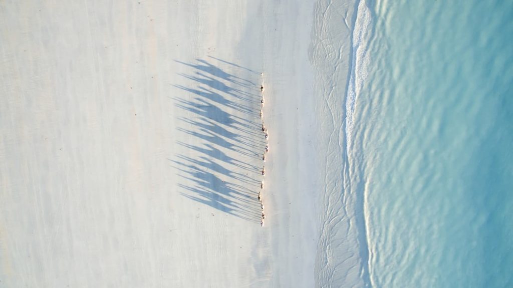 A caravan of camels casting long shadows across Cable Beach in Western Australia, the second-place winner in the Travel category (Credit: Todd Kennedy)