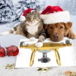 christmas drone pilot gift ideas