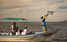 Ocean Alliance Pioneers Drone Tech in Marine Conservation
