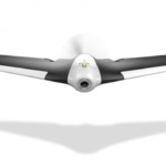 Parrot Disco