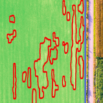 IntelinAir crop analysis