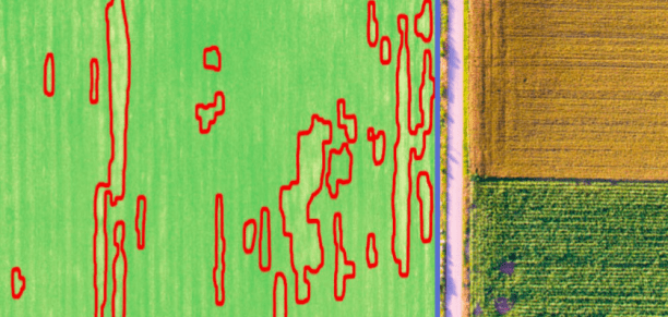 IntelinAir crop analysis