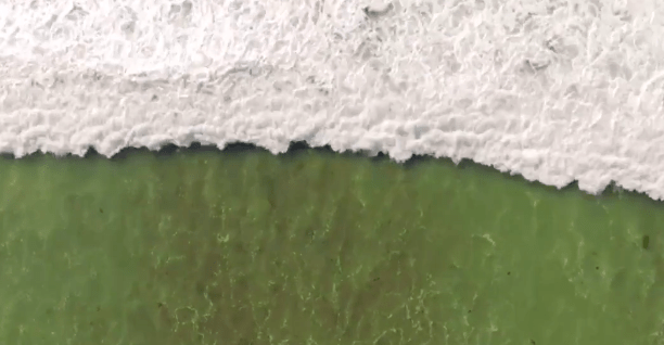 san diego surf