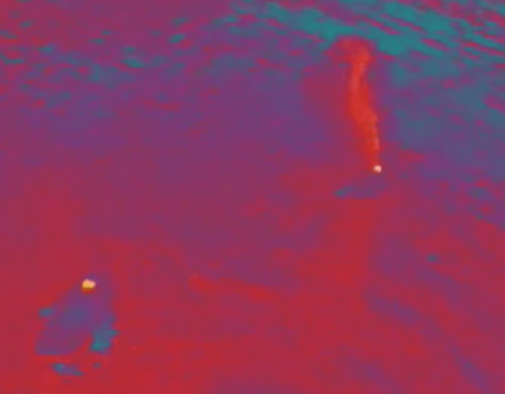 thermal flir camera shooting a whale