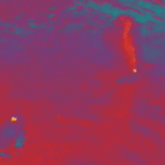 thermal flir camera shooting a whale