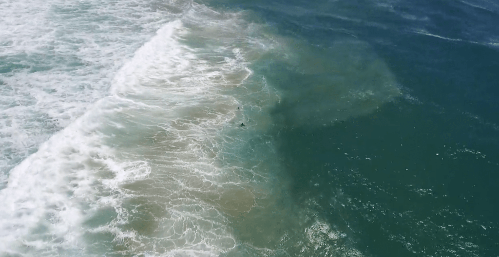 little ripper rescues swimmers in australia