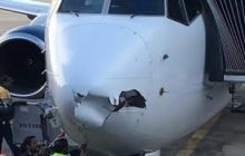 Did a Drone or a Bird Hit This Mexican 737 Commercial Airline?