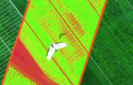 Precision Ag Reaches New Heights: Accelerating Plant Breeding and Variety Testing with Drone Data