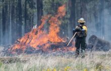 Drone Spotted Over Arizona Wildfire, Forcing Setback