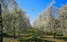 Taking Drones in Agriculture to the Next Level: the SmartFruit Project