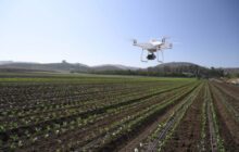 Enterprise Scale: DJI Introduces New P4 Multispectral for Precision Agriculture and Land Management