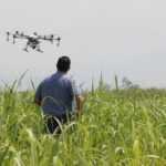 drone agriculture