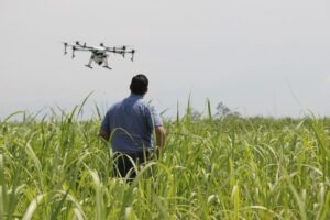 drone agriculture