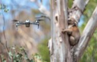 How Drones are Saving Koalas Injured in Australia’s Bushfires