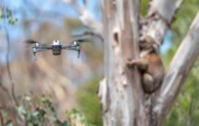 How Drones are Saving Koalas Injured in Australia's Bushfires