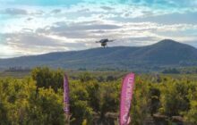 Spanish Startup Says Its Drone Set a Flight Endurance Record