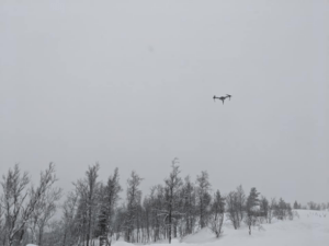 drone rescue of beluga whale