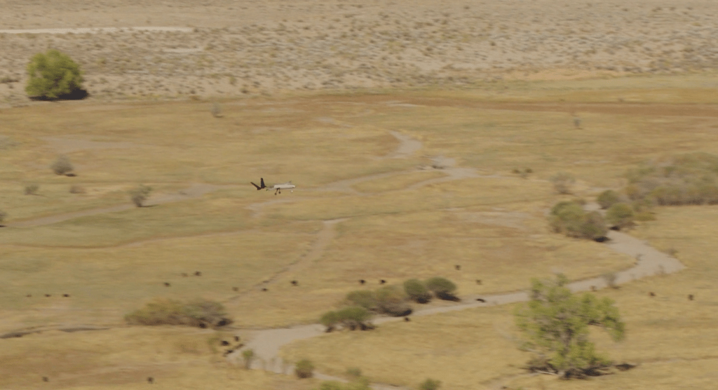 Iris Automation CEO On Onboard Detect and Avoid DRONELIFE