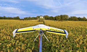 AgEagle Measure AgEagle CEO
