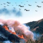 drone swarms for firefighting