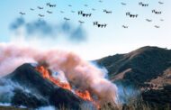 Drone Swarms for Firefighting: the Future of Fire Supression?