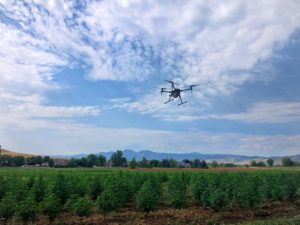 drones hemp