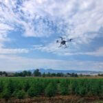 drones hemp