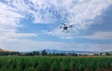 A New Niche for Commercial Drones: Hemp Industry
