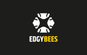 Edgybees Fast Company