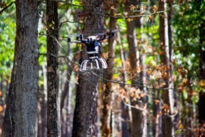 drones in forestry