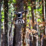 drones in forestry