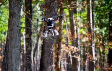 Drones in Forestry: TreeSwift Raises $4.8 M
