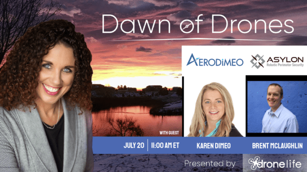 aerodimeo and Asylon on dawn of drones