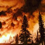 drones for wildfires, drone data, automated drone flights,forest management with drones