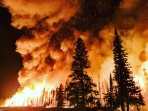 drones for wildfires, drone data, automated drone flights,forest management with drones