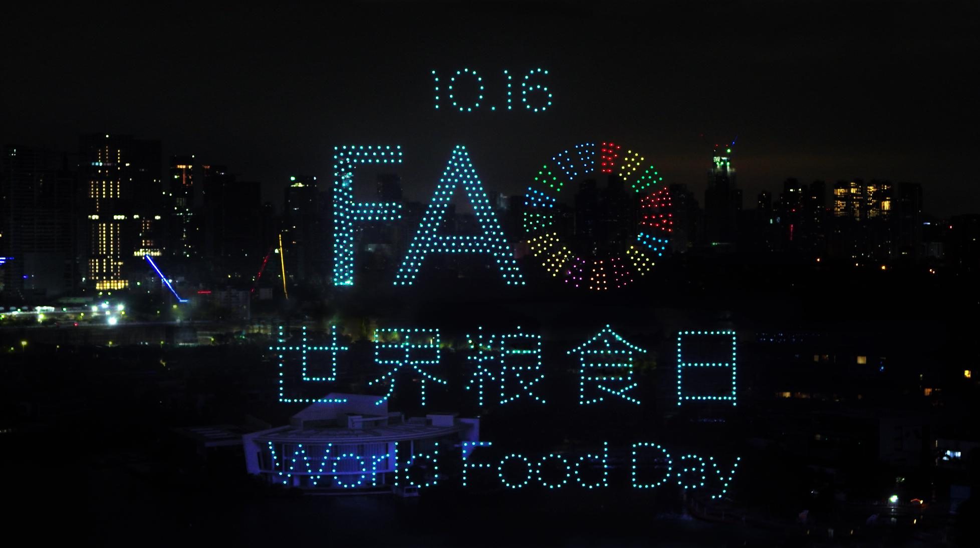 DJI Firefly Light Show World Food Day