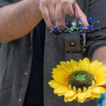 drone swarms pollination, WPI Researcher RoboBees