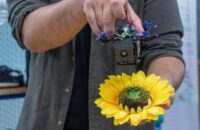 Could Tiny Drone Swarms Help Pollinate Crops?  WPI Researcher Develops RoboBees