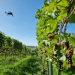 drone mapping vineyard