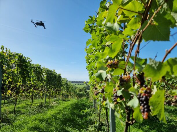 Drone Mapping of Vineyards Will Support New VISTA Project - dronelife.com