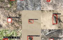 Innovative Drone Program Combats Global Landmine Crisis with AI Precision
