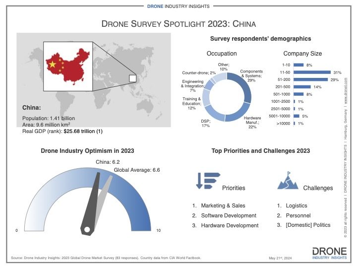 Chinese drone market