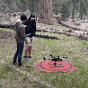 drone tree inspection