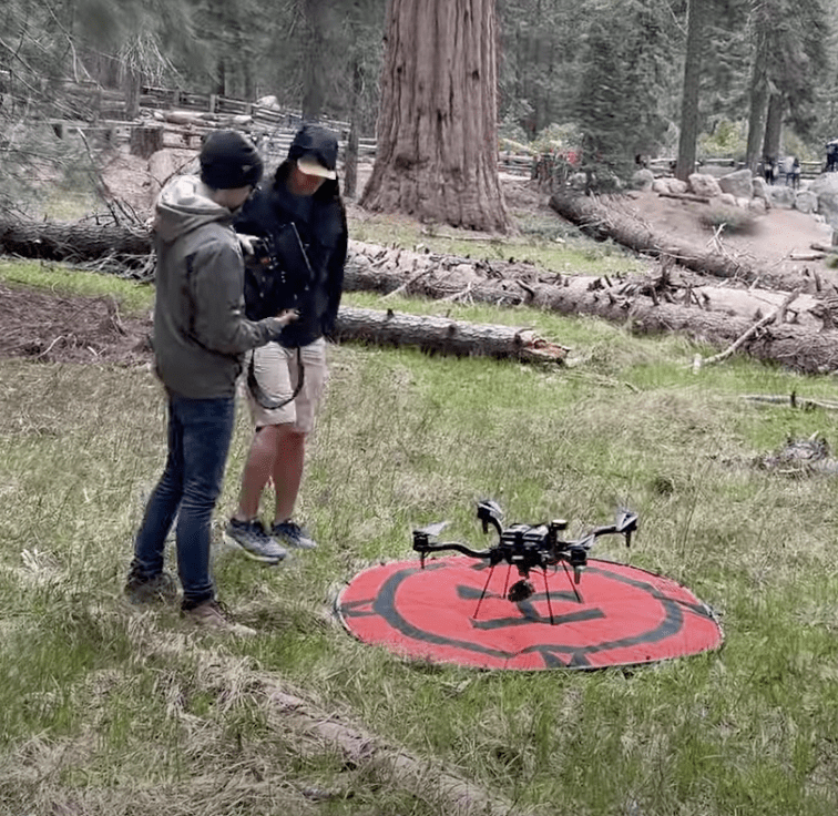 Drone Tree Inspection: Doodle Labs Flies Common Sherman Tree